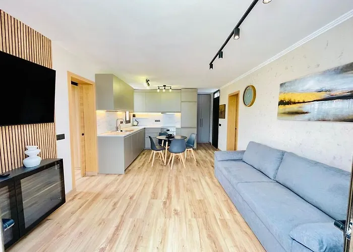 Waves And Relax In Apartamerica Lejlighed *